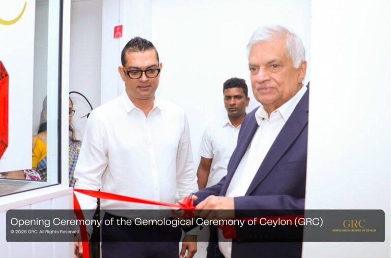 615346750 122100052689206955 6700638979588849884 n